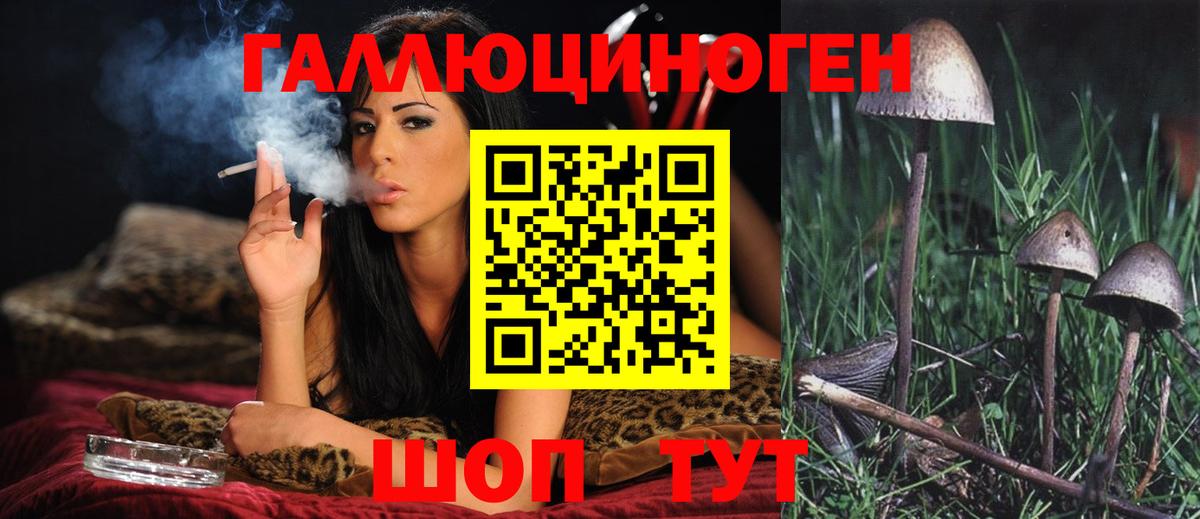 Псилоцибиновые грибы Magic Shrooms  Вход с VPN  Усолье-Сибирское  дарнет шоп  Псилоцибиновые грибы Psilocybine cubensis 